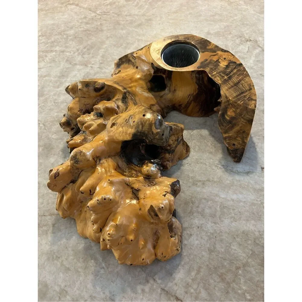Driftwood Specimen Display